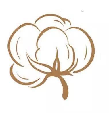 亿万人都爱用的全棉时代，今天终于揭晓了它隐藏7000年的秘密