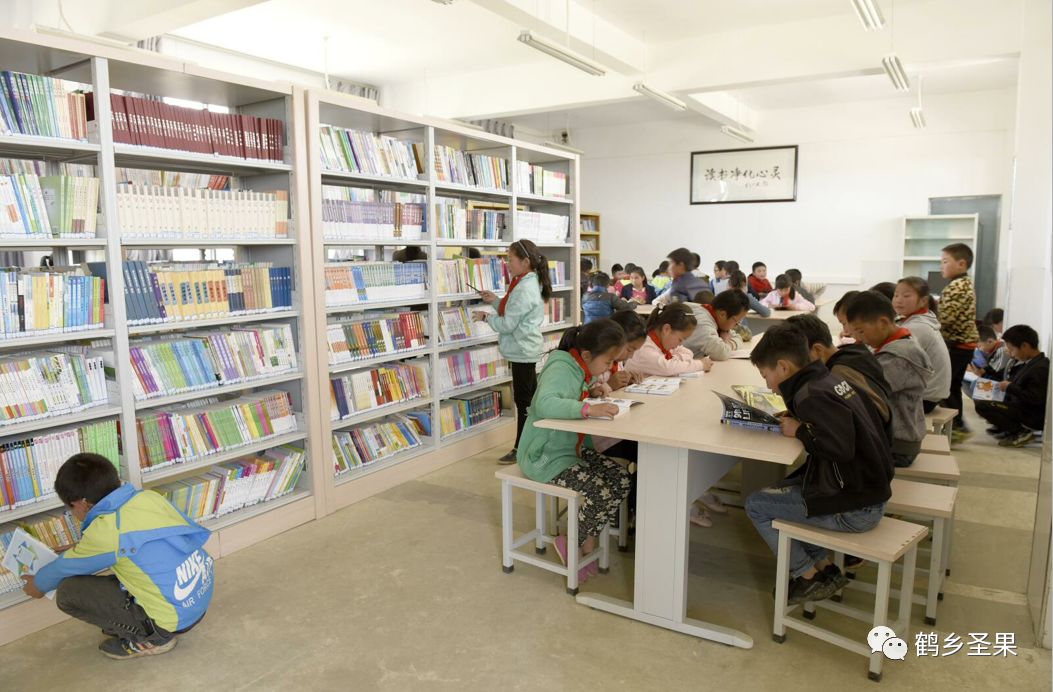 记者走访街头单车,共享单车的出镜记者