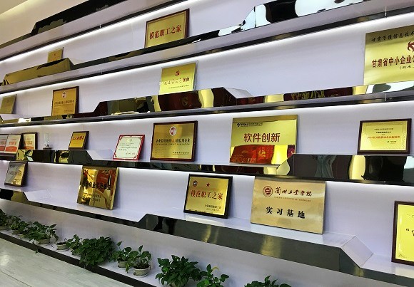 甘肃精准扶贫效果成果,甘肃万维陇南分公司