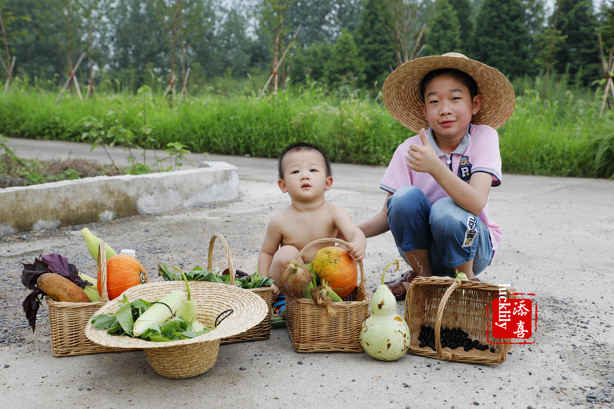 义远农场亲子探险露营：帐篷、萤火虫、足球冰淇淋、竹水枪、采摘