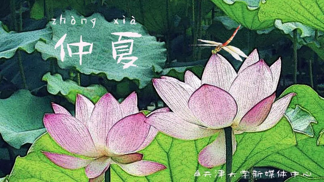 探秘顶级实验室,探秘中国顶级实验室