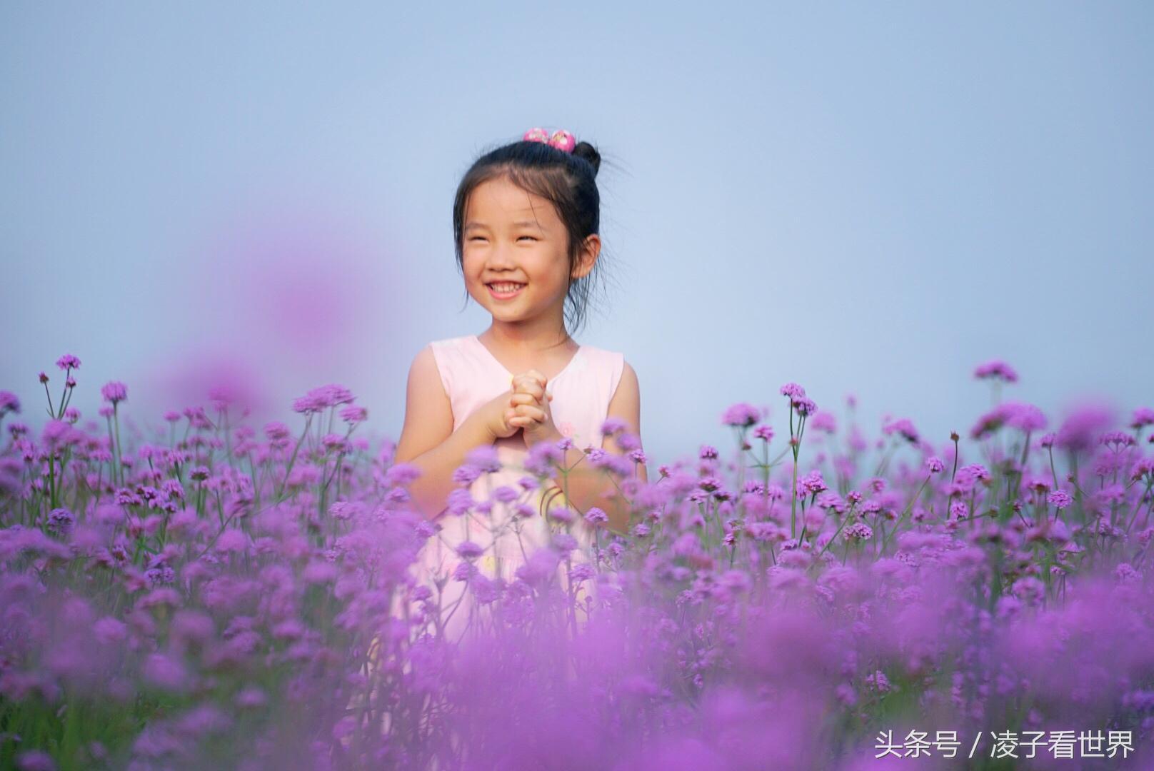 沙滩拾贝壳景区,沙滩花海美景