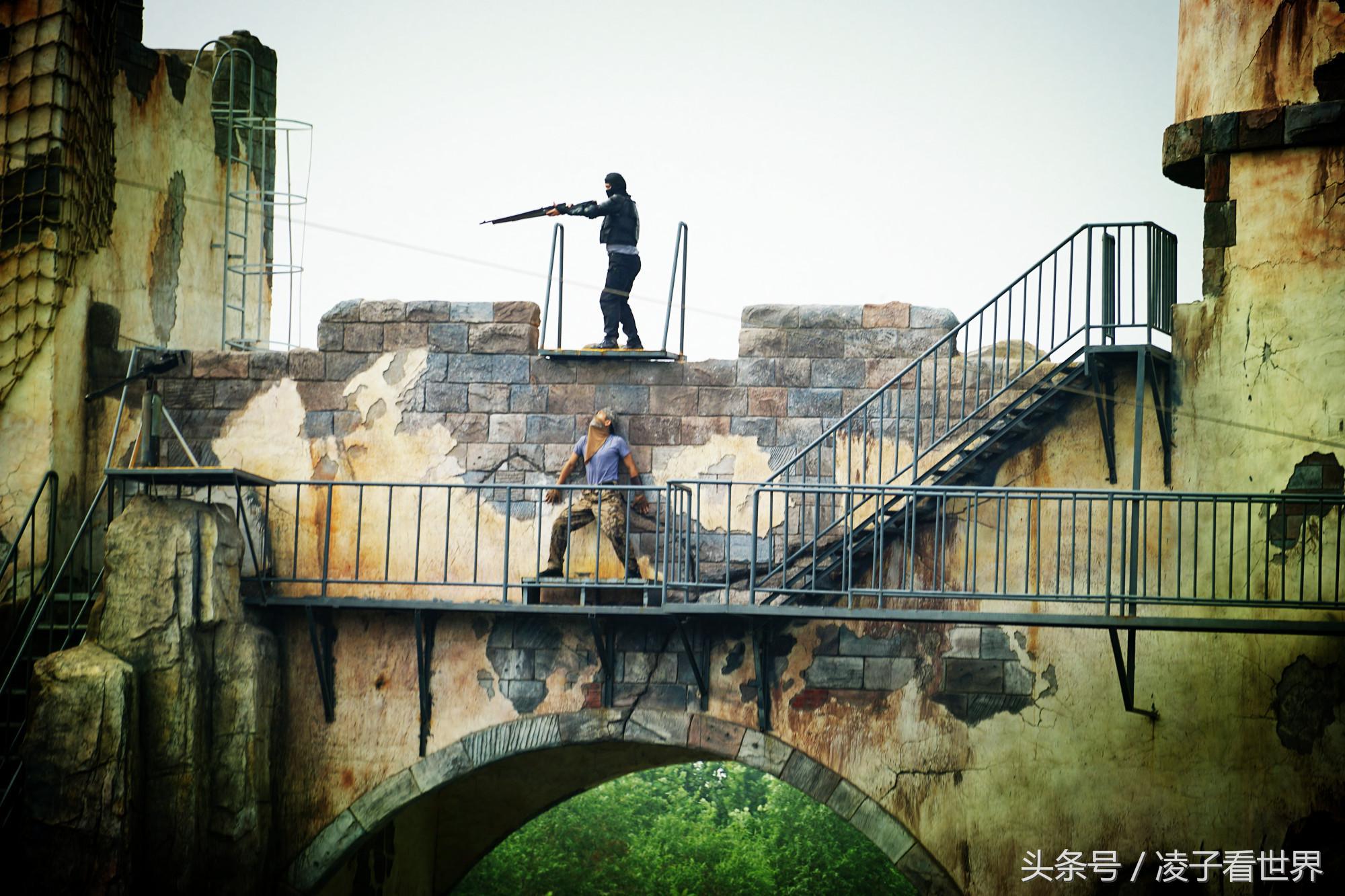 沙滩拾贝壳景区,沙滩花海美景