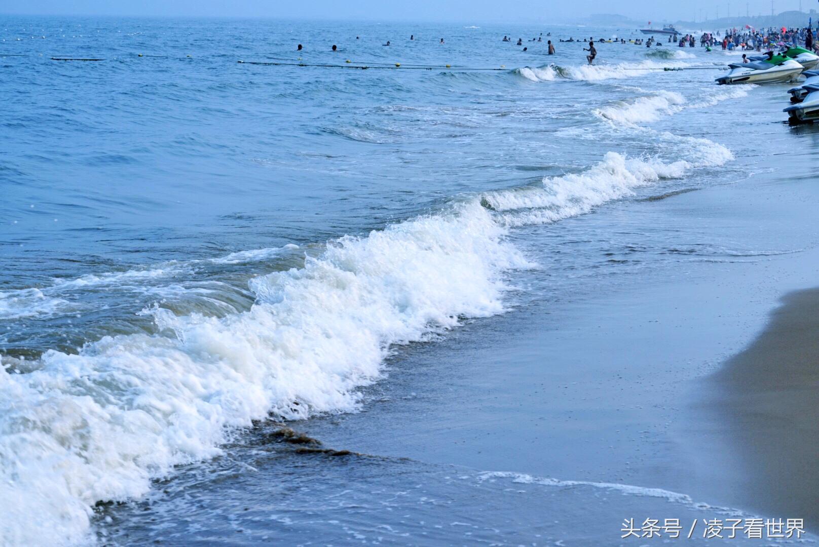 沙滩拾贝壳景区,沙滩花海美景