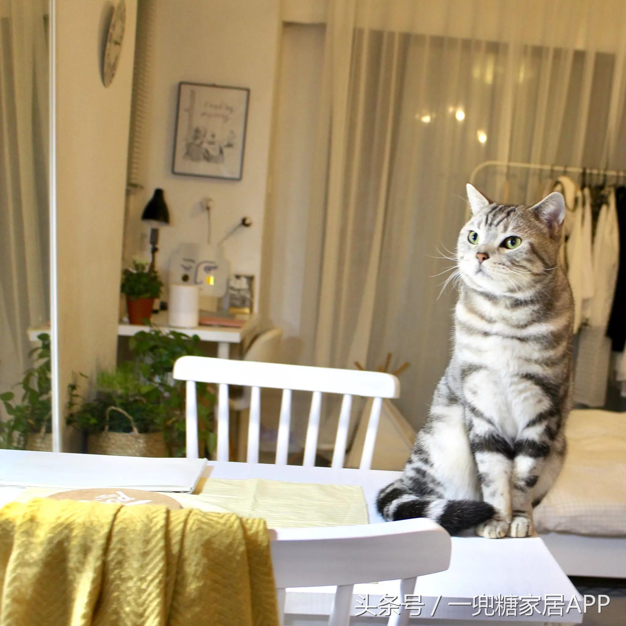 手指褪皮，用坏6对手套，90后美女爆改破旧公寓，是我小瞧你了！