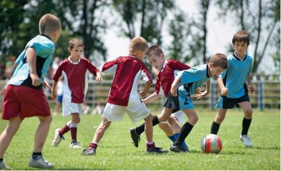 比利时国家足球怎么样,比利时足球跟哥斯达黎加足球差别