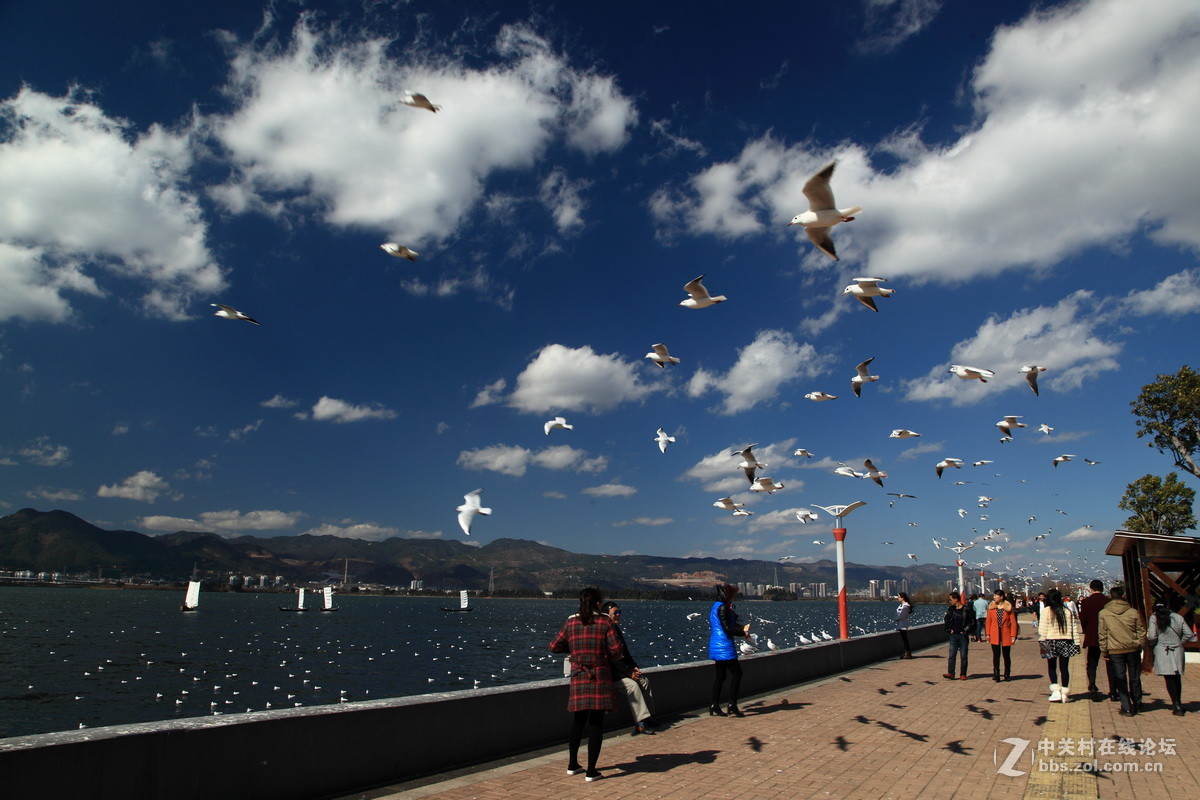 四季如春昆明之行,昆明主城区感受慢生活的地方推荐