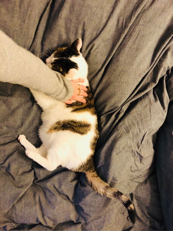 房屋里坏了什么由房东修理,房主家东西坏了该谁修