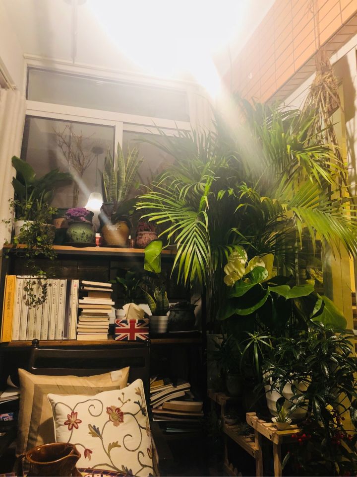 房屋里坏了什么由房东修理,房主家东西坏了该谁修