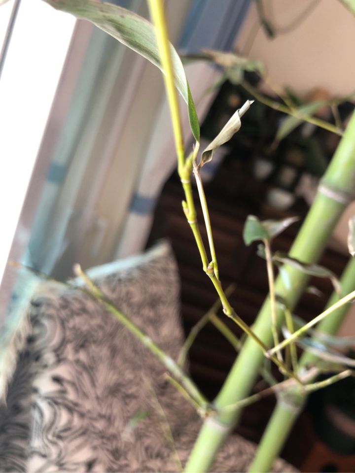 房屋里坏了什么由房东修理,房主家东西坏了该谁修