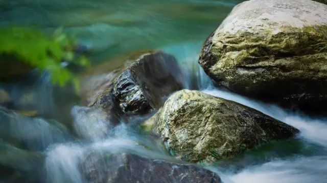 拍水技巧,正确拍水的方法教程