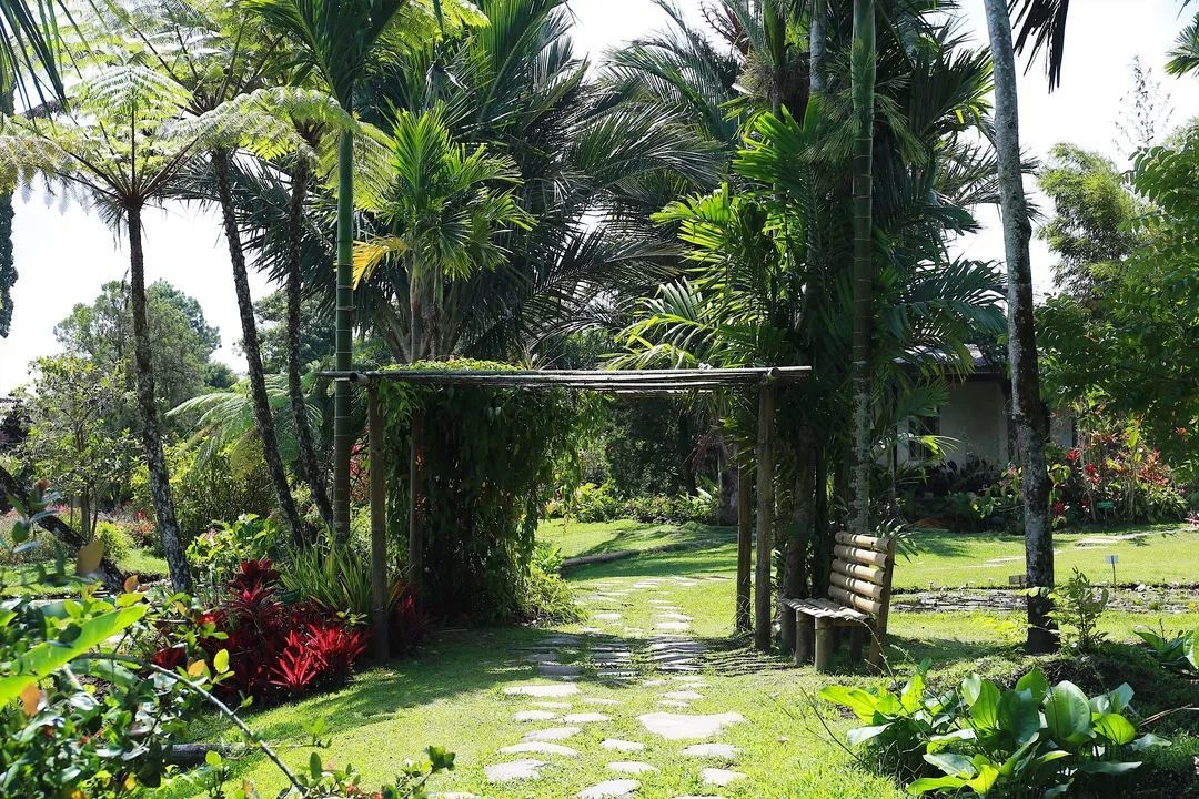 印尼美娜多潜水,印尼美娜多潜水考证