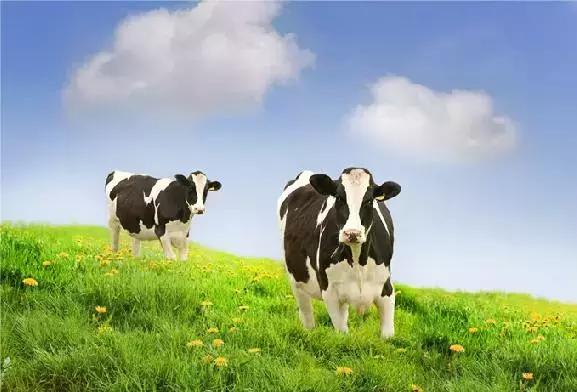 有何不同完整版,有何不同又有何相同