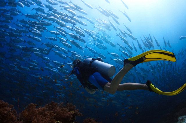 不会游泳可以去海底潜水吗,不会游泳可以体验美人鱼吗