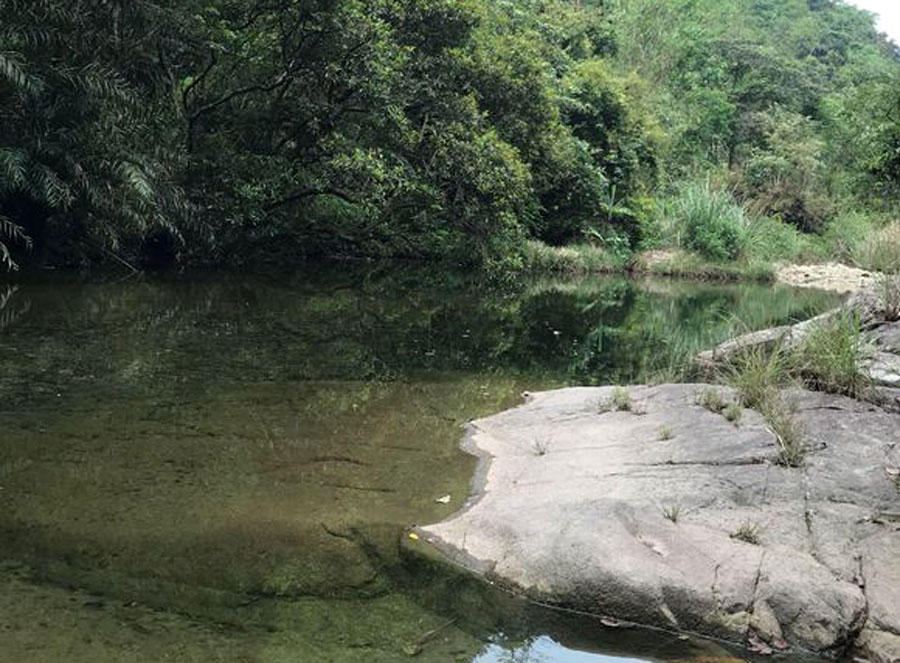 溪流钓常见的鱼,野钓常见的小鱼