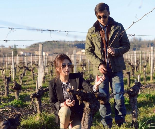 赵薇酒庄在法国哪里,赵薇酒庄的红酒价格是多少