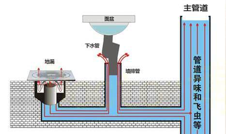 以前地漏不返臭现在返臭是咋回事,下水道装了防臭地漏还是臭怎么办