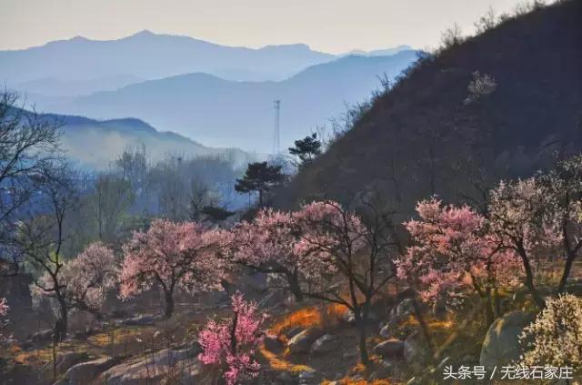 我们向全世界发出邀请！2019，欢迎您来到石家庄！