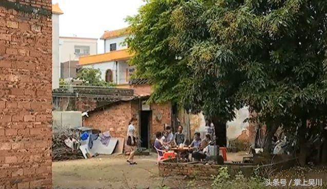 广西吴川百岁老人,广东省湛江吴川王村港百岁老人