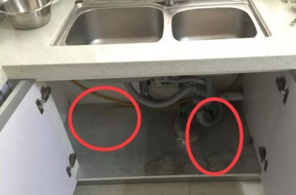 为什么打蟑螂不能用拖鞋,用拖鞋打蟑螂真的会打出虫卵么