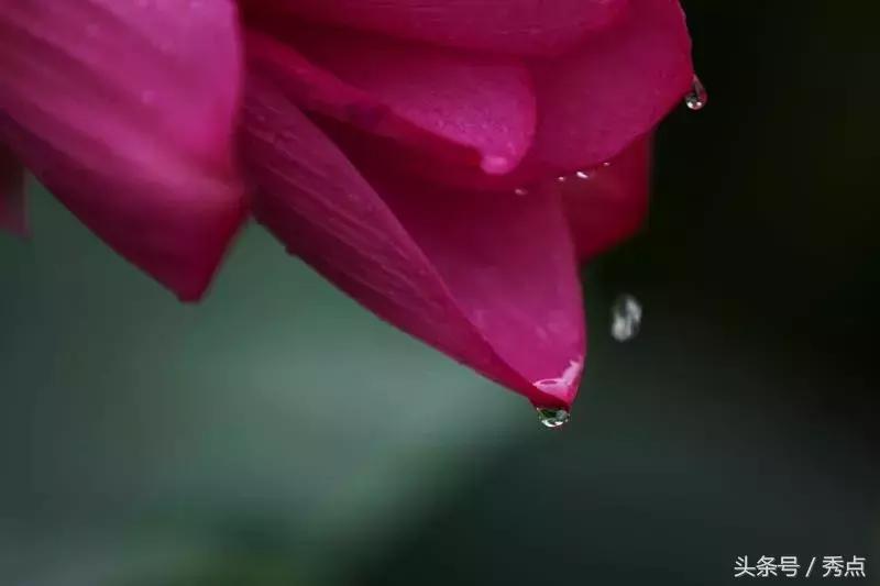 铜川清凉玩水的地方,铜川夏日美景