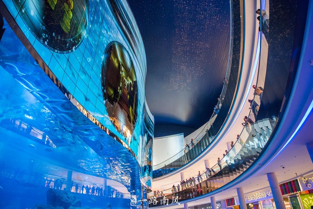 华人在阿联酋的地位,阿联酋华人地位