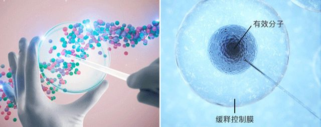 以色列殿堂级祛味除汗神器，告别体臭汗臭尴尬，一次持续72小时！