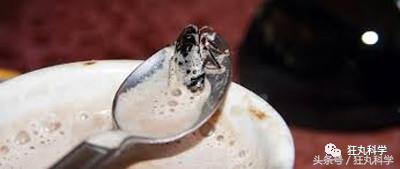 不可思议的重口味饮品：青蛙榨汁、蟑螂制奶？