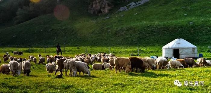 甘南行首站夏河美景,旅游甘南到了夏河下一站应该到哪