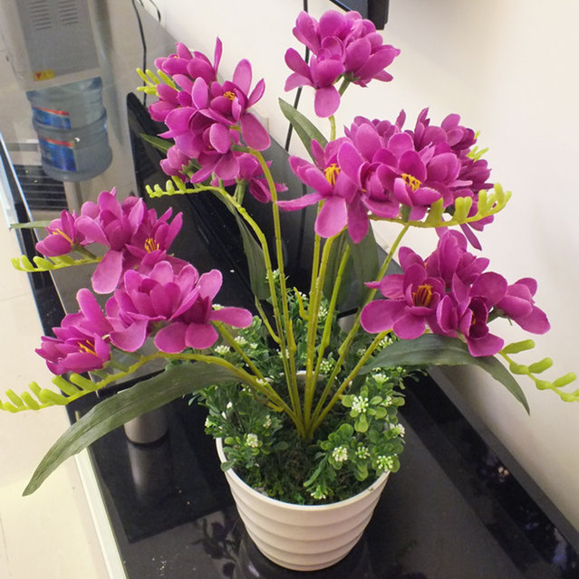 这种花千万别养,适合懒人养的四季花香雪兰