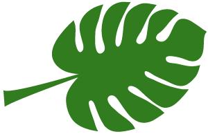 夏季最适合吃的十种水果,夏季这些水果到底该怎么吃才健康