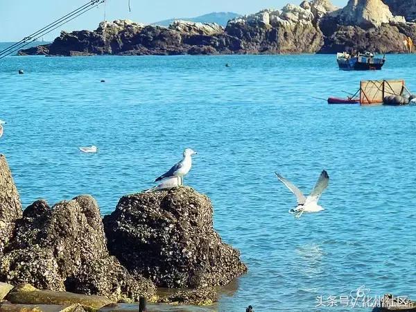 不用1000块钱就可以去玩的岛,不需要签证的4个小时的海岛