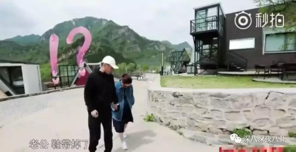 蒋勤勤经历过的事,蒋勤勤查案