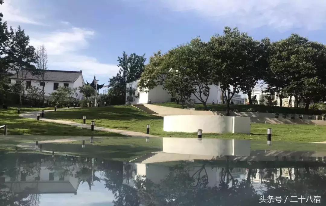 她在南京,南京谷里熏衣草庄园最佳观赏期