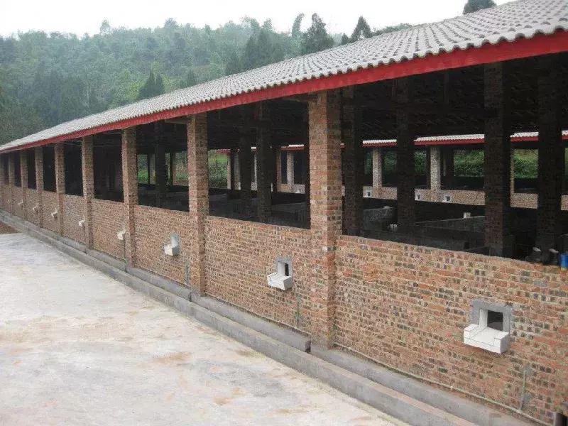 狗养殖场需要办什么证件,狗养殖场办理什么证件