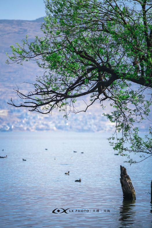 做过这30件事才叫爱旅行的人,做过十件事才算是真爱