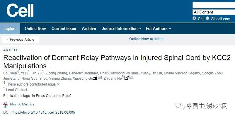 脊髓受损恢复的小孩,脊髓损伤下肢瘫痪恢复行走的案例