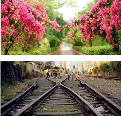 厦门适合情侣去的旅游,厦门适合情侣旅游的地方