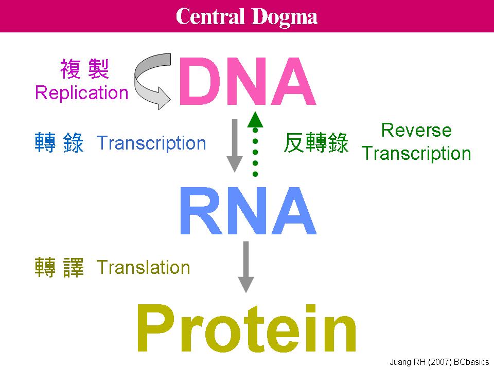 多肽恩仇录——谈谈护肤品中的多肽