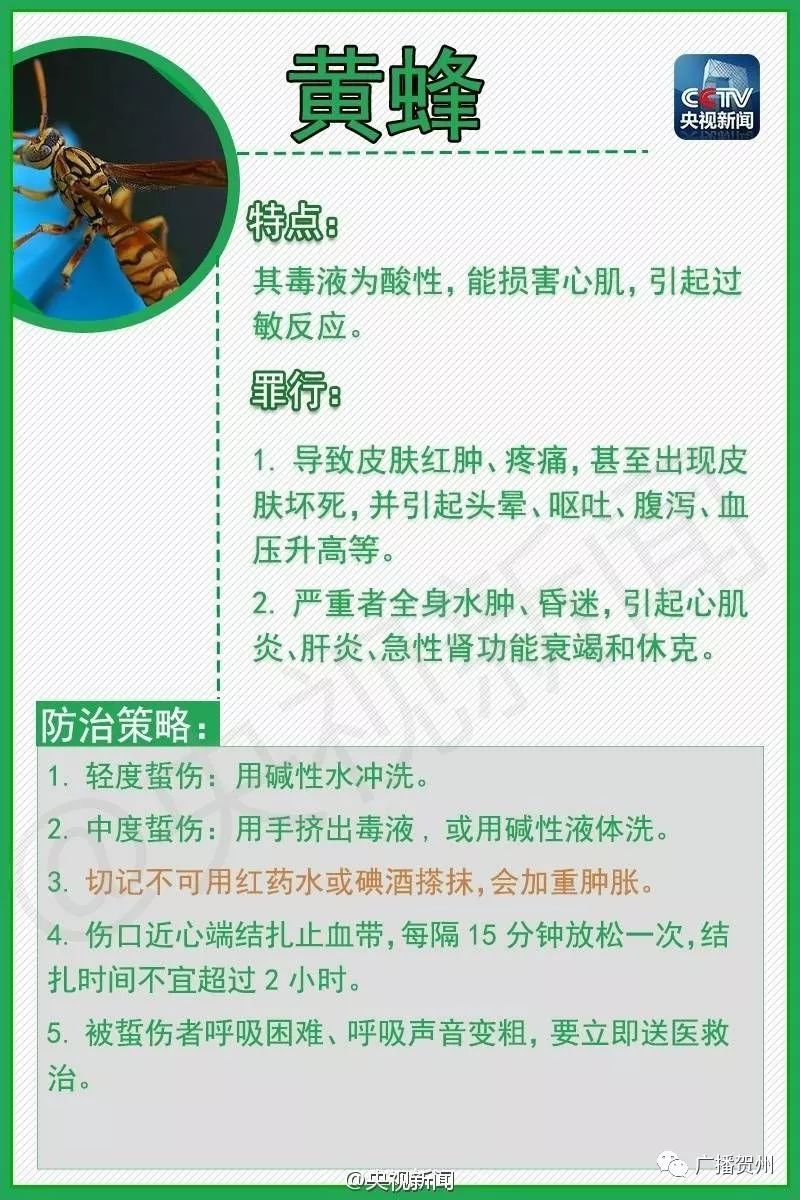 广西虫咬伤人,广西腿被虫咬伤