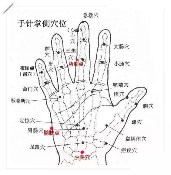 如何治疗排尿异常,排尿异常吃什么药