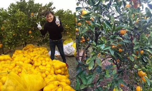 40岁大叔买下一座岛,大叔为钓鱼买下一座岛