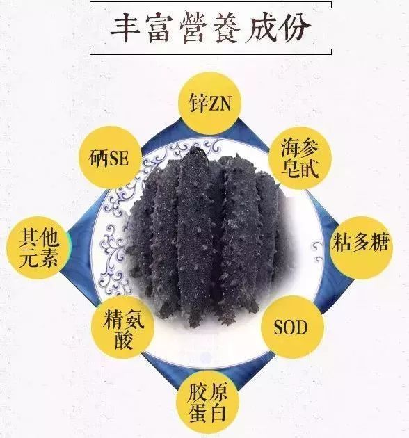 海参你必须知道的那些事,海参市场内幕视频