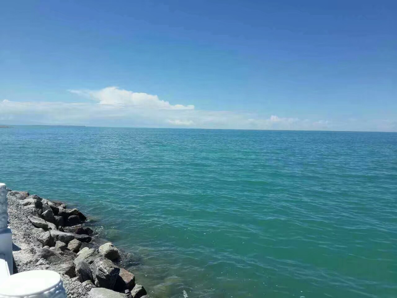 200个句子搞定初中英语1600单词,初中英语必背1600个单词