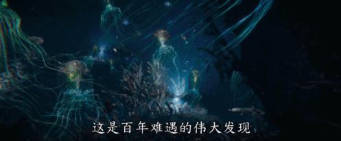 国产电影保护月,今年国产电影保护月