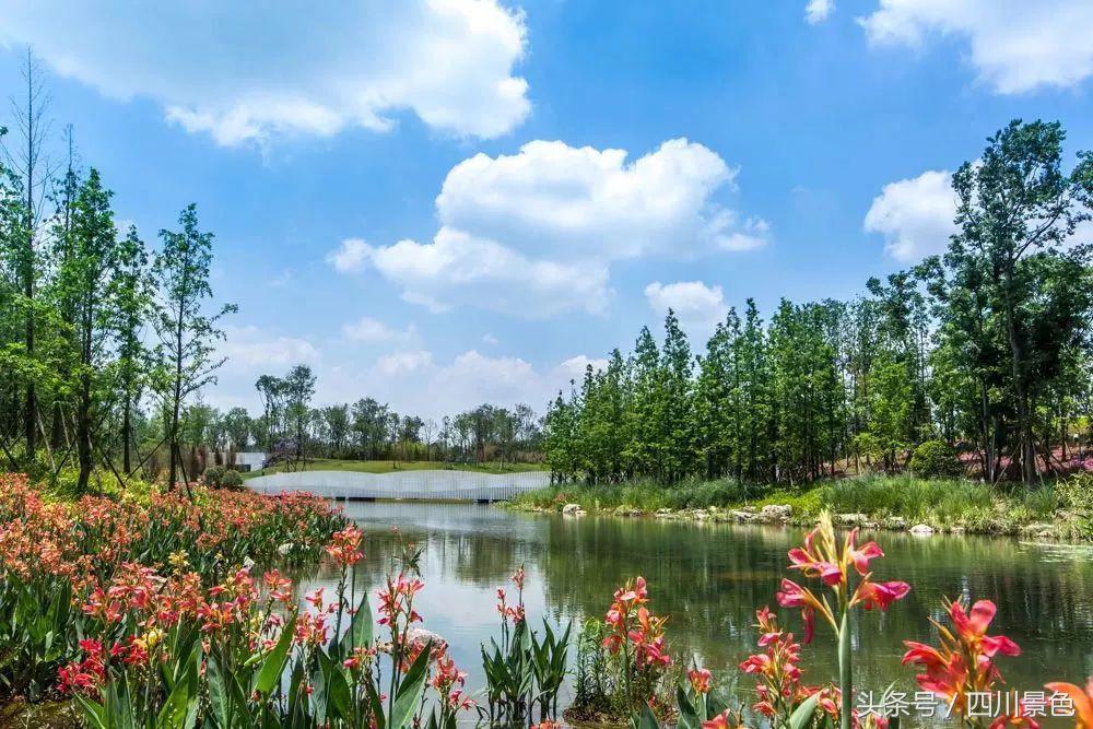 小众又免费！成都地铁直达的天然氧吧！清凉洗肺又解暑！