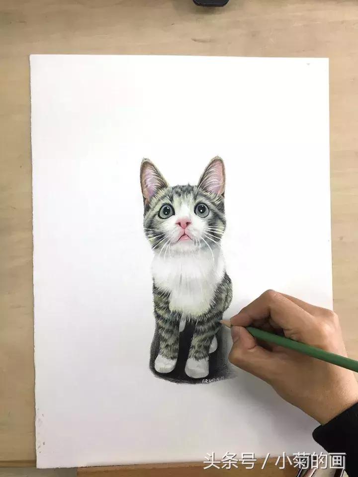 彩铅素描都是用的哪种彩铅,零基础学彩铅要先学会素描吗