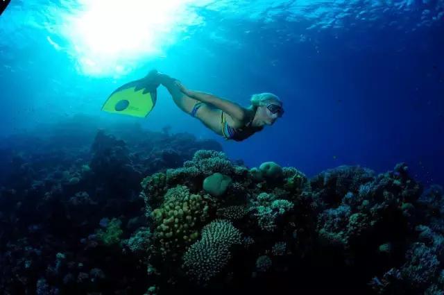 最适合浮潜的海,十大浮潜地点