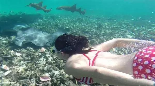 最适合浮潜的海,十大浮潜地点