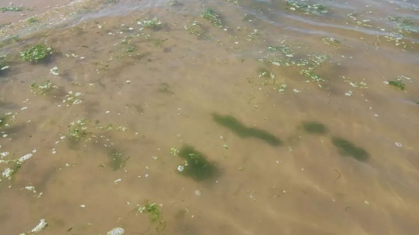 魂牵梦绕的沙滩海浪,魂牵梦绕的大海